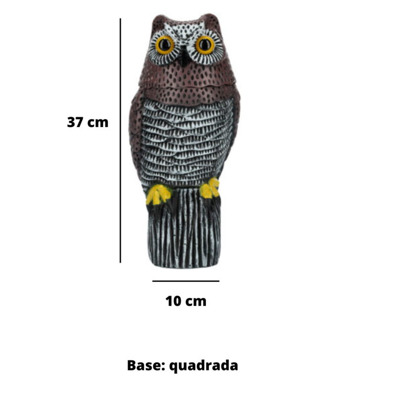 coruja ecoced