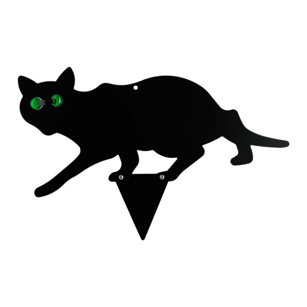 Gato Preto - Image 2