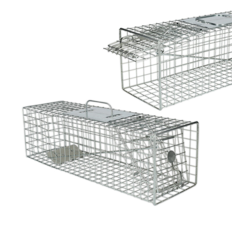 Armadilha para Gatos