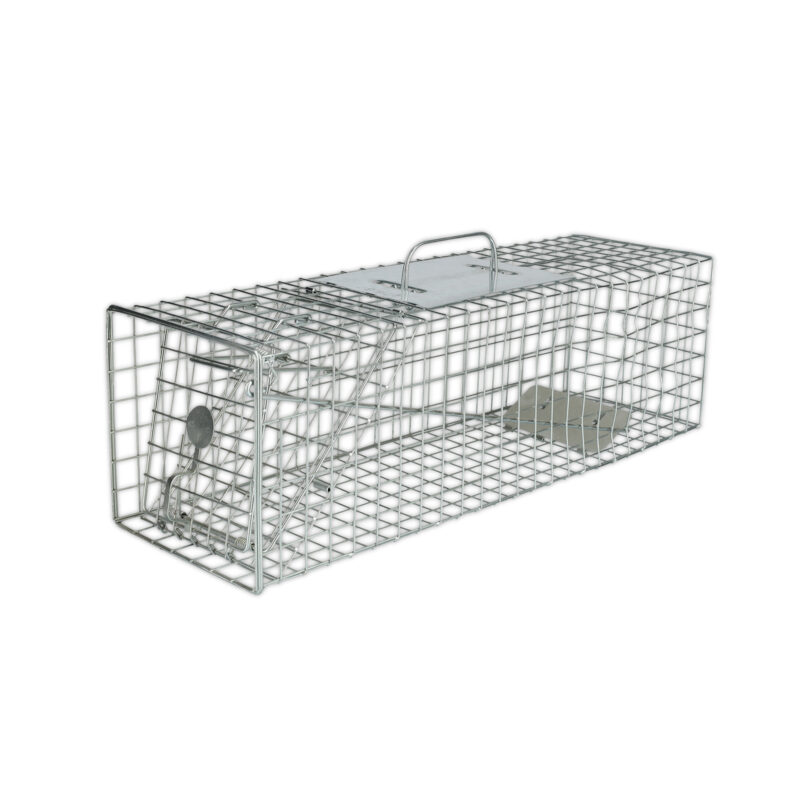 Armadilha para Gatos