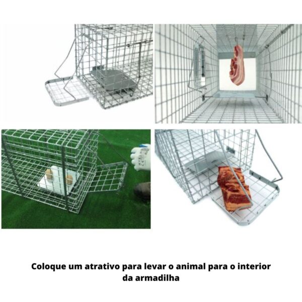 Armadilha para animais