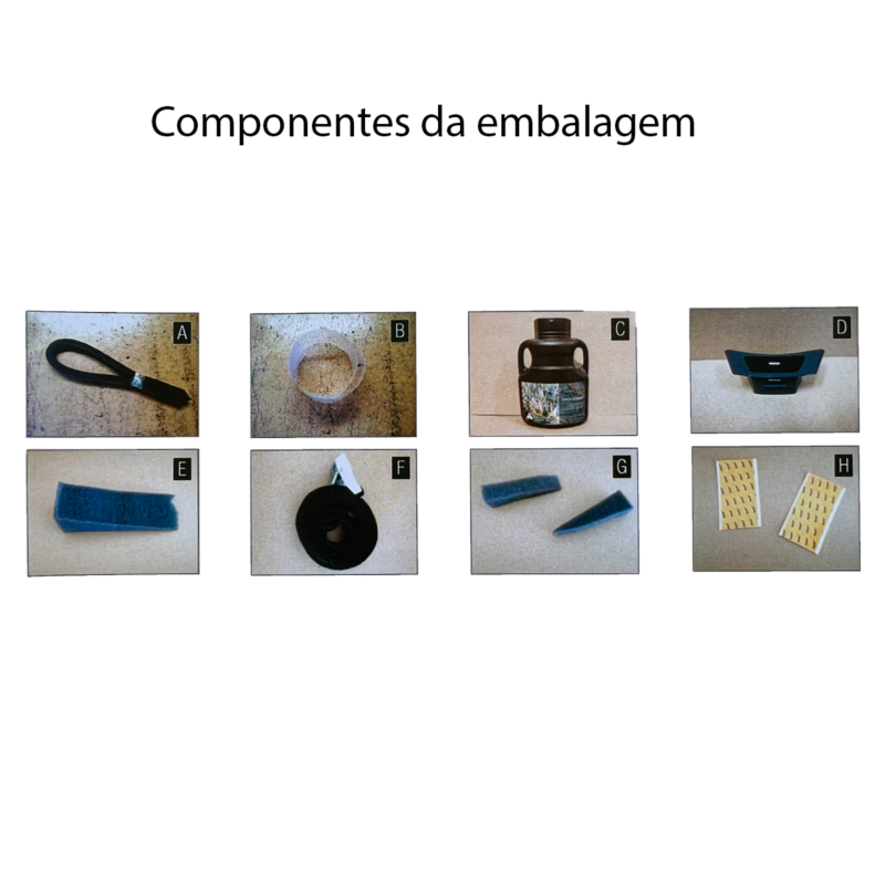 Processionária