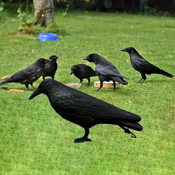 Conjunto de Corvos Repelentes de Pombos posicionados em um jardim para afastar aves de forma sustentável e prática.