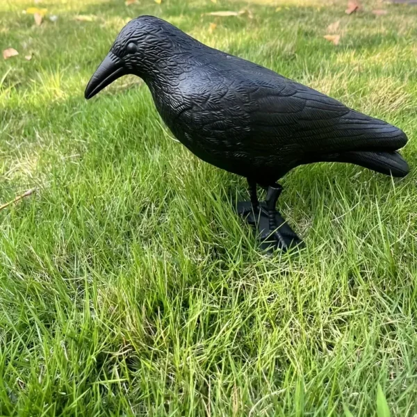 Repelente Corvo Preto sobre a relva, utilizado para afastar pombos e proteger espaços externos de forma natural.