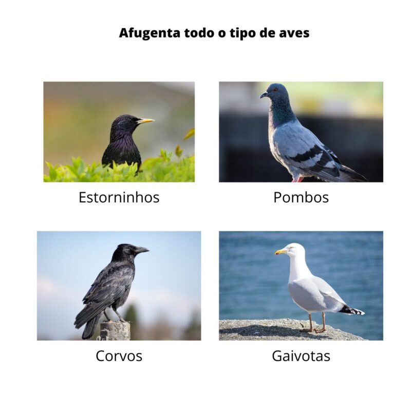 Afugentador de Aves