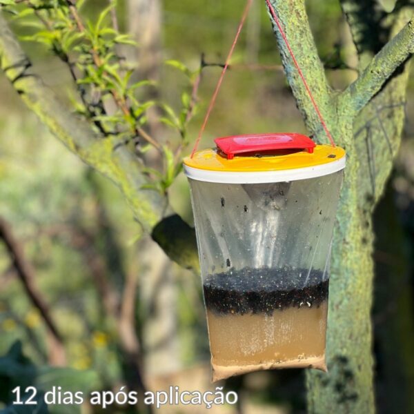 Dispositivo de captura de insetos voadores com isca atrativa redtop