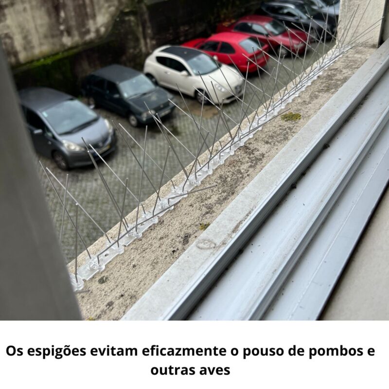 anti pombo