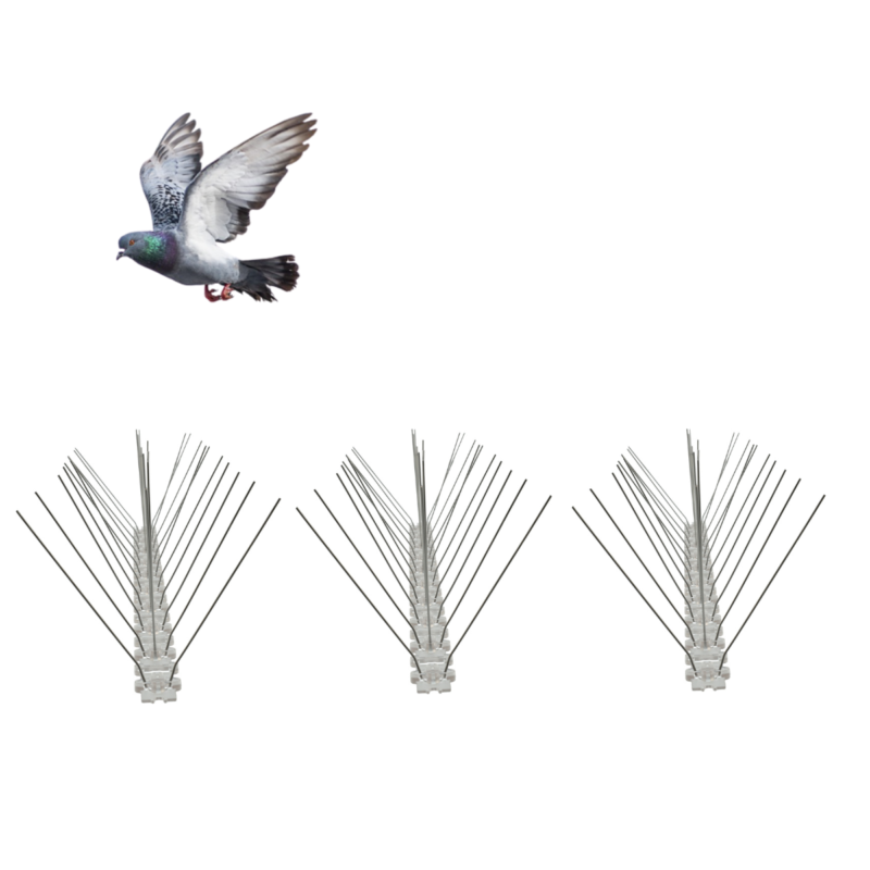 anti pombo