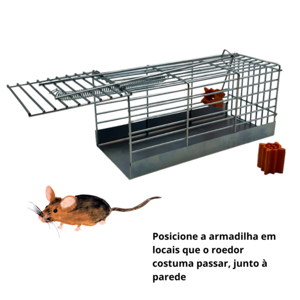 Armadilha para Ratos e Ratazanas em Aço Inoxidável