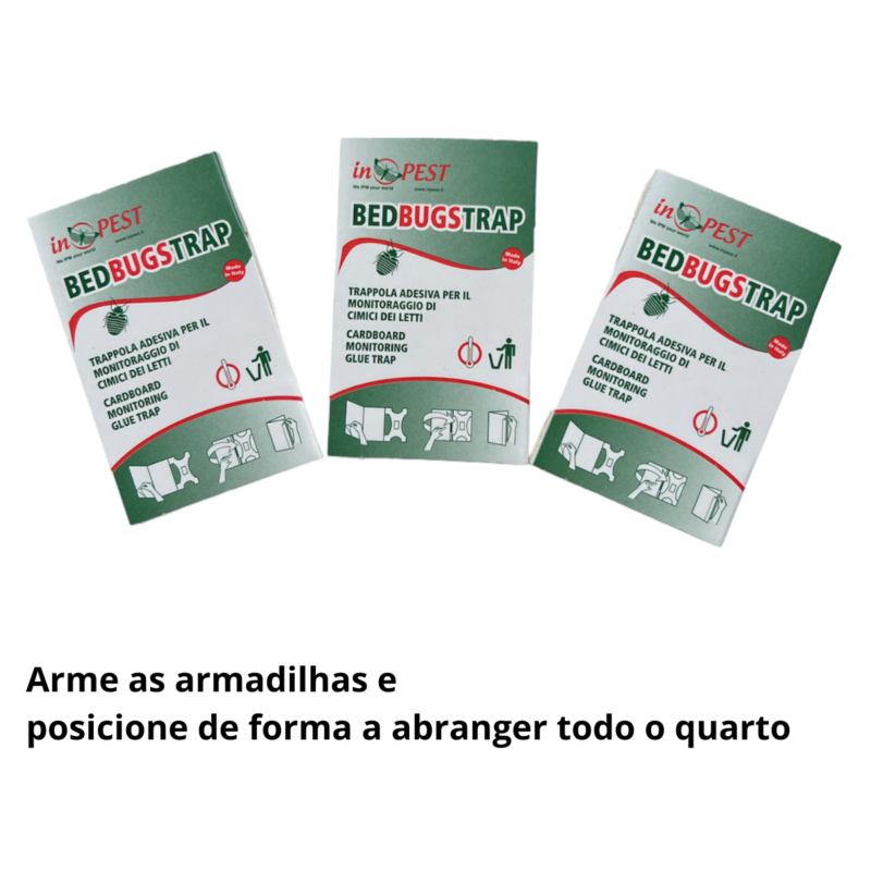 percevejo de colchão