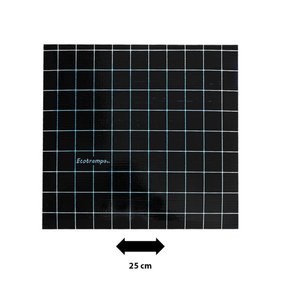 Pack 6 Telas Adesivas Insetos 25x25 cm