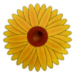Adesivos ecológicos anti moscas