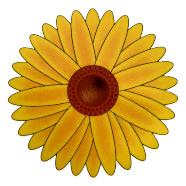 Adesivos ecológicos anti moscas