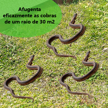 Afugentar Cobras: Repelente Eficiente para Répteis - Ecoced